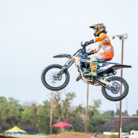 Collin Davis