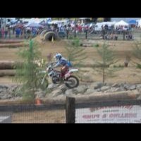 daniel brown