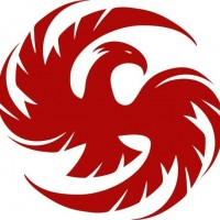 vivu mocchau
