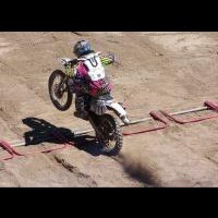 Chase Hallahan