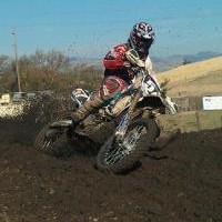 Tylor Pansini