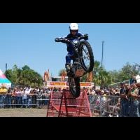 Adam Holbrook