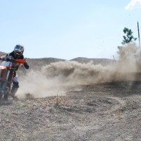 Austin Stout