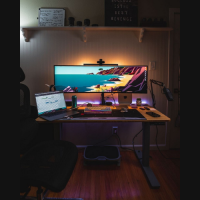 Bamboo Standing Desk