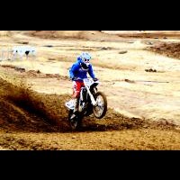 Tanner Morgan