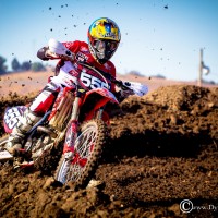 Mark Chaves Jr