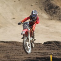 austin Lewis
