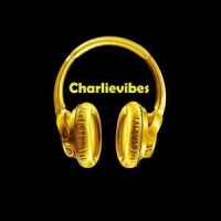 charievibes media