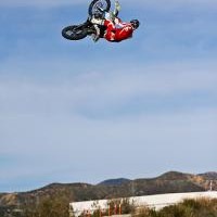 Wyatt Stevens