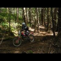 tanner davy