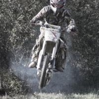 Dylan Woods