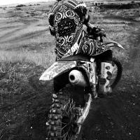 Daniel Reardon