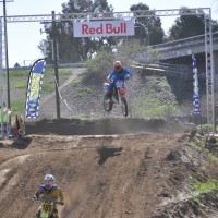 Daniel Ormachea