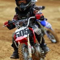 casey stapleton