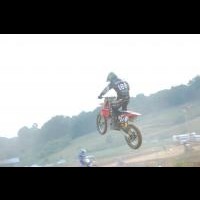brad hamilton