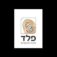 חלונות עץ  כך תשדרגו את הבית