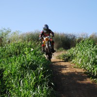 Pearce  Rush
