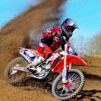 danny budd