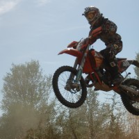 matteo busetti