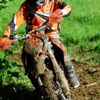 Levi Struble