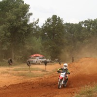 Ashton Hollis