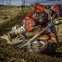 Austin Walton