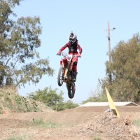 Tanner McDonald