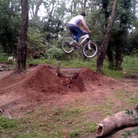 Matt Ingram