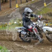 Bradley Mitchell