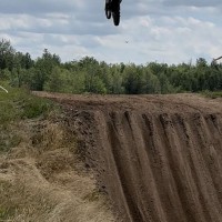 Levi Niemi
