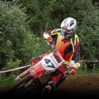 steve lyons 