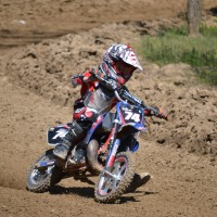 Trevor Colip