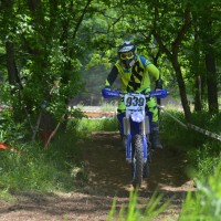 Nathan Ackerman