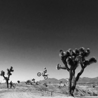 shane  deshler 