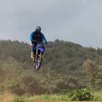 Harley Genegabuas