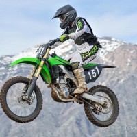 Dalton Muller