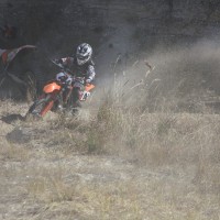 Zion Steindl