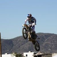 Damien Dinelli