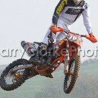 Anthony lyle 