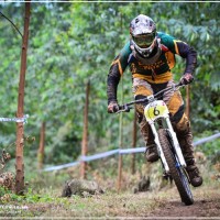 Sam Bull