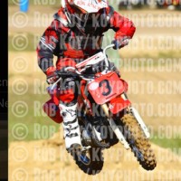 Brant foster 