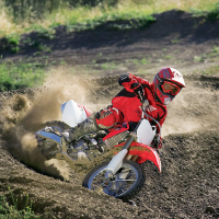 Quinn Hardy