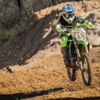 Will Whitmire