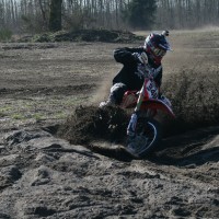Alex Gully