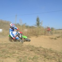Benjamin D'aranjo