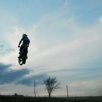 adam friesen