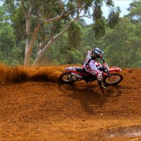 Zac Williams