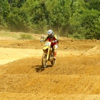 Cody Collins