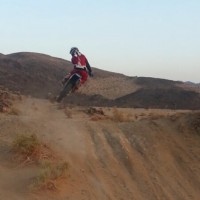 Colden McGarvie