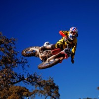 Dustin Torrans